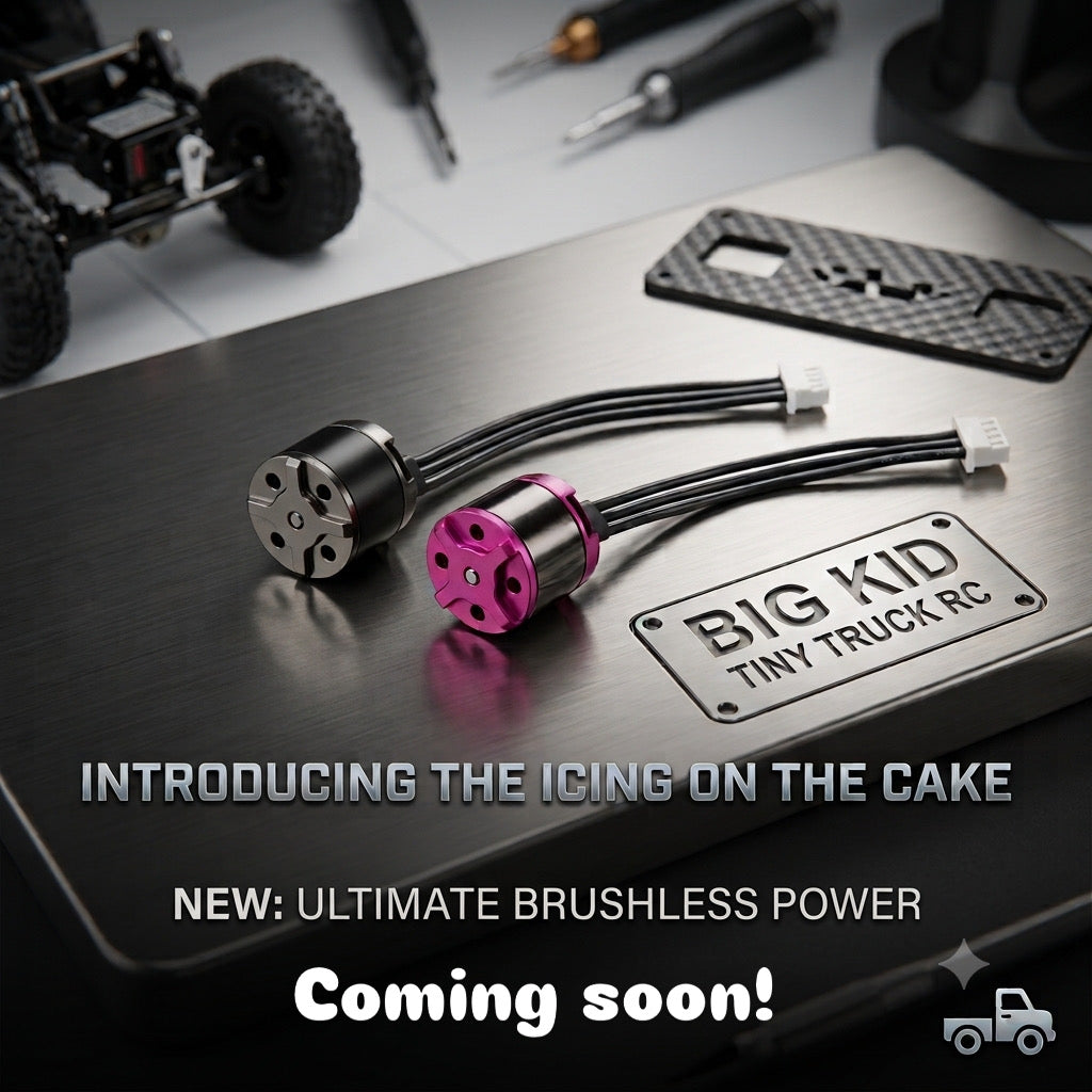 Icing on the cake brushless motors (3500KV)